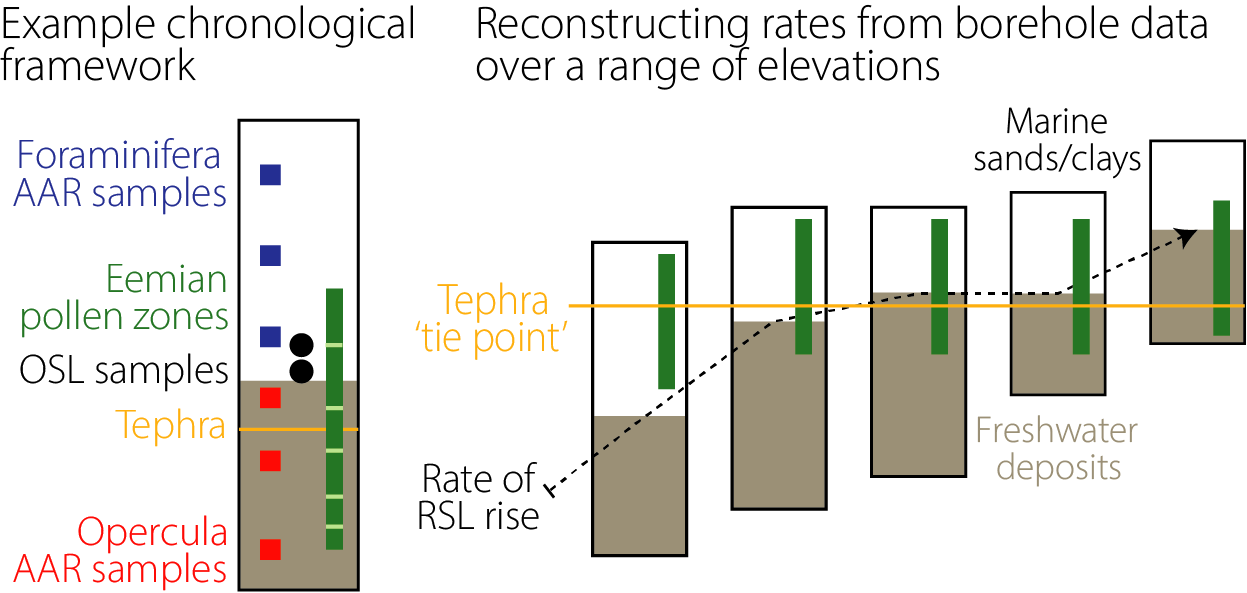 A schematic showing the RISeR sampling approach across the peat to clay transition, with pollen samples throughout the transition, OSL samples above the transition, opercula AAR samples within the peats, and foraminifera AAR samples within the clays. A tephra tie point is highlighted, which links the cores.